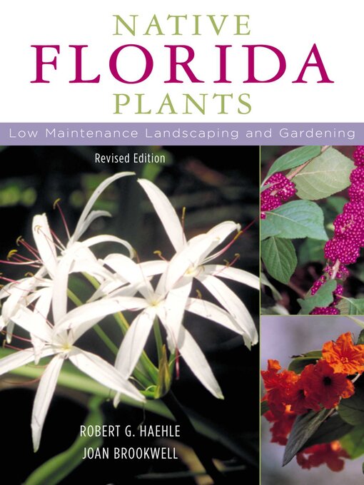 Title details for Native Florida Plants by Robert G. Haehle - Available
